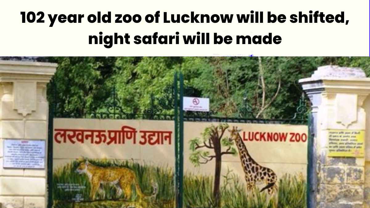 Lucknow Zoo: 102 year old zoo of Lucknow will be shifted, night safari will be made…