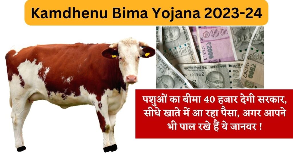 Kamdhenu Bima Yojana: पशुओं का बीमा 40 हजार देगी सरकार, सीधे खाते में आ रहा पैसा, अगर आपने भी पाल रखे हैं ये जानवर !