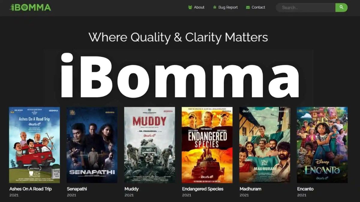 ibomma.com – Is iBOMMA Safe for Watching and Downloading Telugu, Bollywood & Hollywood Movies?