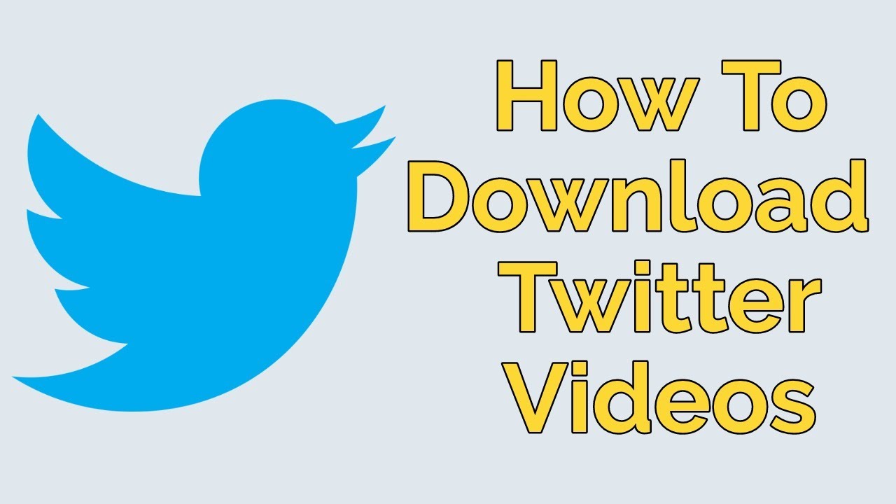 How to Download Twitter Videos 2023 Twitter Video Downloader for Android, iOS Mobile & PC Laptop